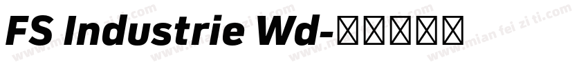 FS Industrie Wd字体转换